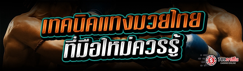 เทคนิคแทงมวยไทย ที่มือใหม่ควรรู้