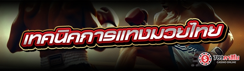 เทคนิคการแทงมวยไทย