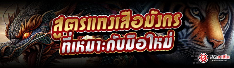 สูตรแทงเสือมังกร ที่เหมาะกับมือใหม่